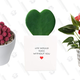 Valentine’s Day Plants | $17-$37 | Amazon